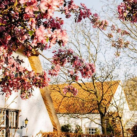 Truyenhof Bed & Breakfast Bree Bagian luar foto