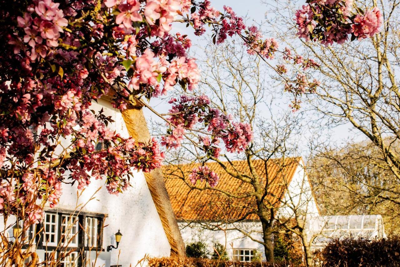 Truyenhof Bed & Breakfast Bree Bagian luar foto