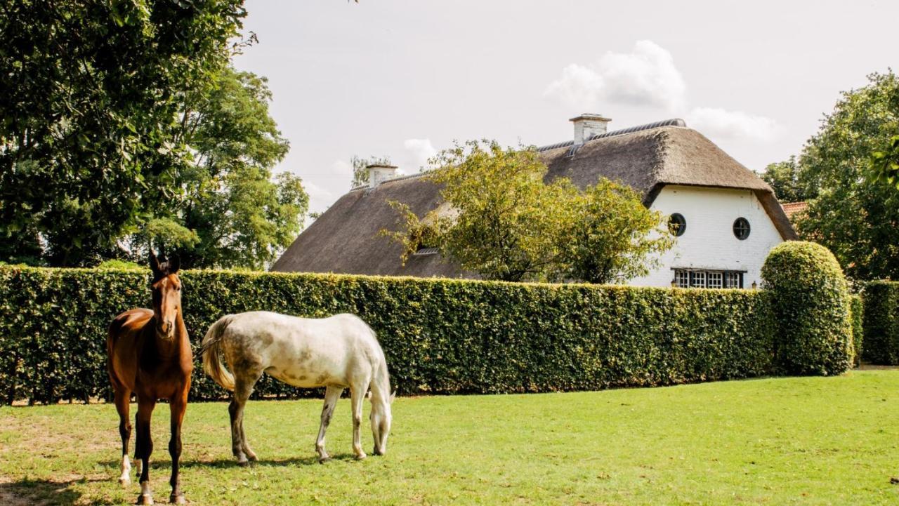 Truyenhof Bed & Breakfast Bree Bagian luar foto